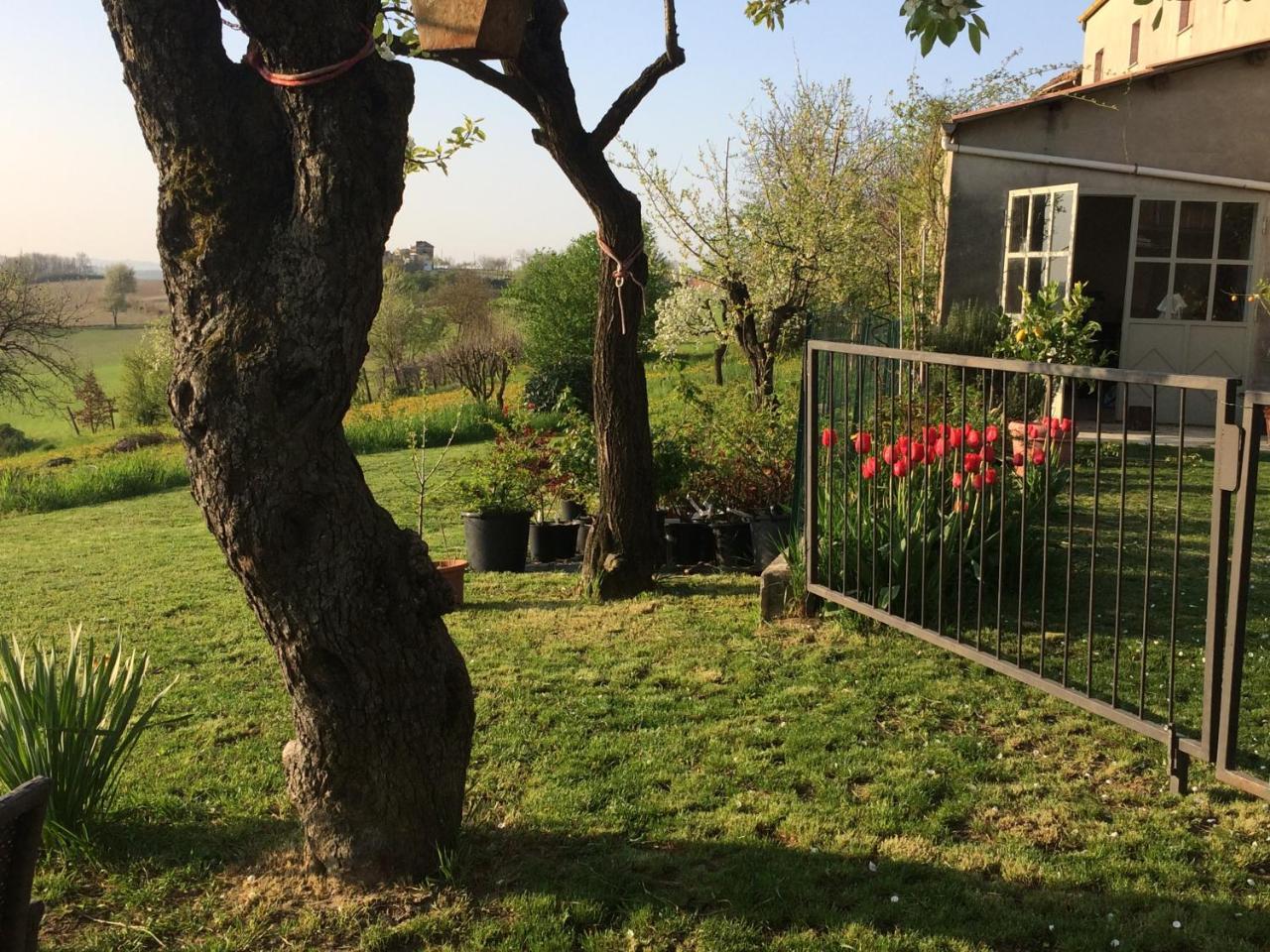 Cascina Vicentini Alfiano Natta Exterior foto